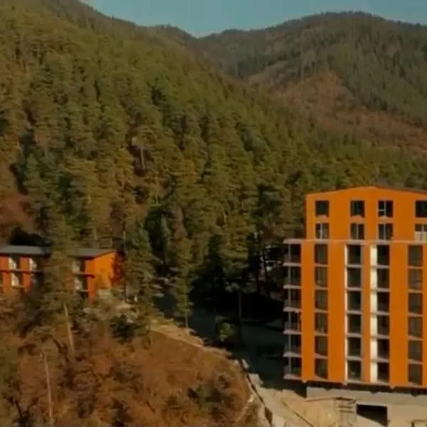 Apartament Natalia โรงแรมในBorjomi