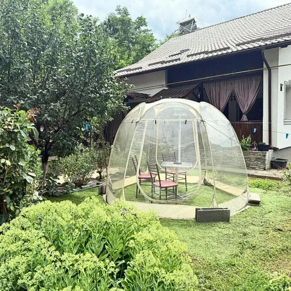 Păușa Residence, hotel v destinaci Păuşa