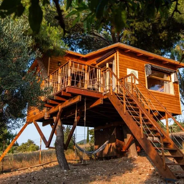 the Treehouse Project, hotel a Patra