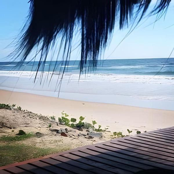 Licuri Praia de Algodões na beira do mar