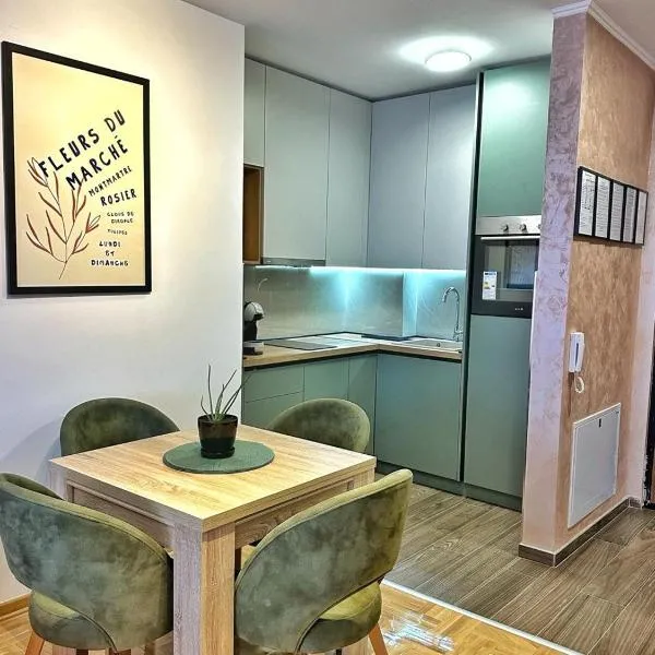 InnaLux14 Premium Accommodation, hotel v destinaci Pirot