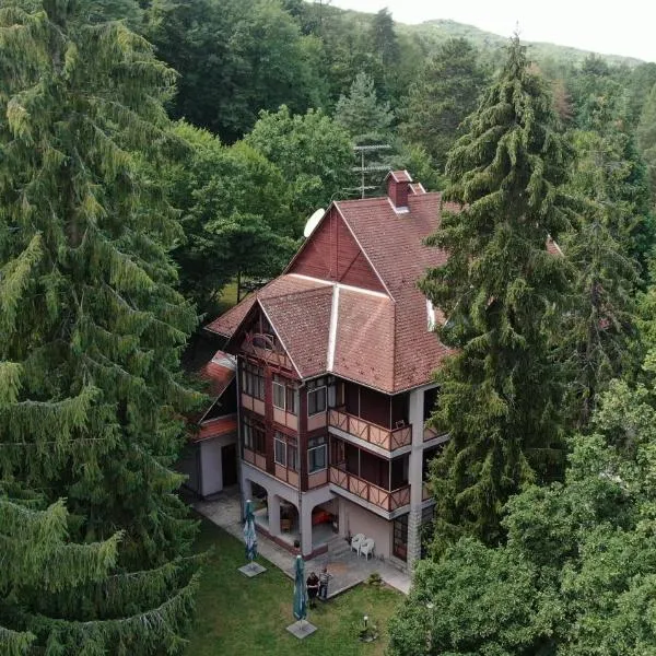Ezüstfenyő Hotel، فندق في تيلكيبانيا