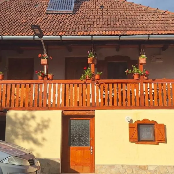 Căsuța cu cerdac、Nădăştia de Susのホテル