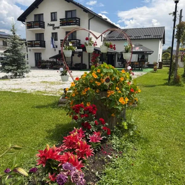Pensiunea Poiana Dornei, hotel u gradu Vatra Dornei