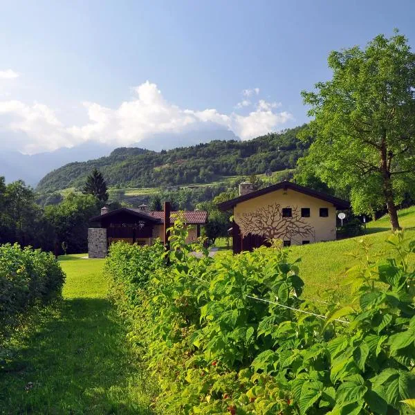 Quader Nidi nel Verde Authentic Farm Stay in the Italian Alps, hotel v destinácii Bienno