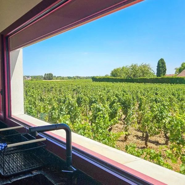 Maison de Vigneron entre Vougeot et Chambertin, hotel in Morey-Saint-Denis