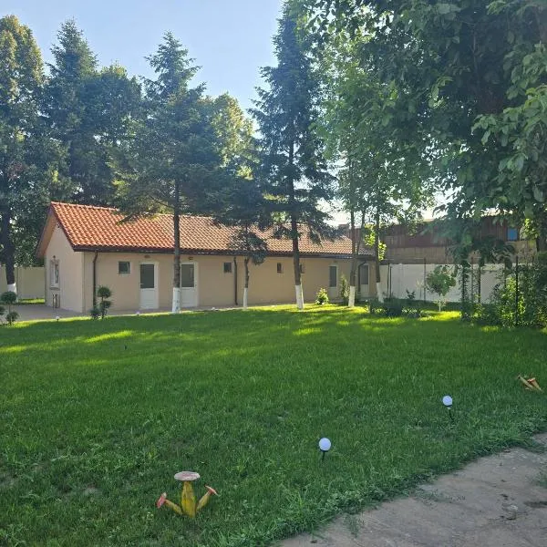 Atena, hotel en Remuş