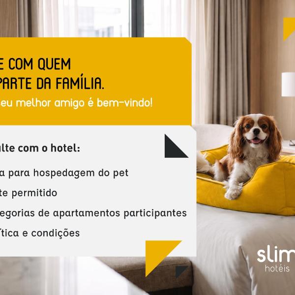 Slim Hotel Curitiba Alto da XV - Foto 4
