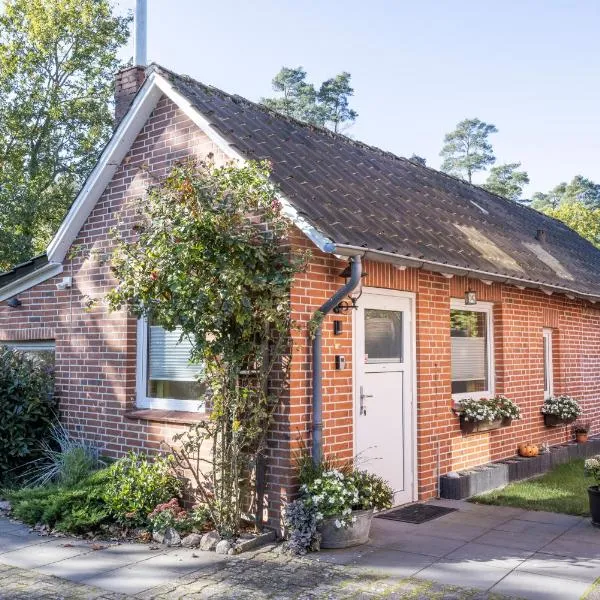 Ferienwohnungen Villa Lütt, hotel in Bleckede