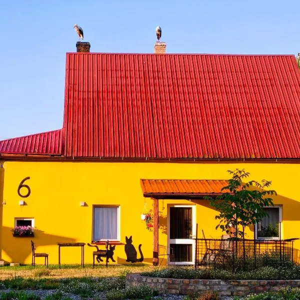 Haus 6 am Fluß, hotel in Witnica