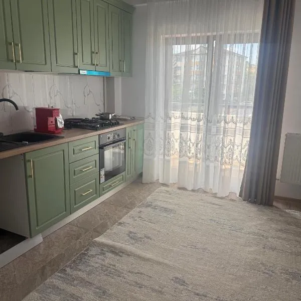 Eli house, hotell i Tîrgu Neamţ