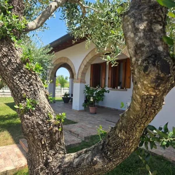 Locanda Livenza camere, hotel in Motta di Livenza