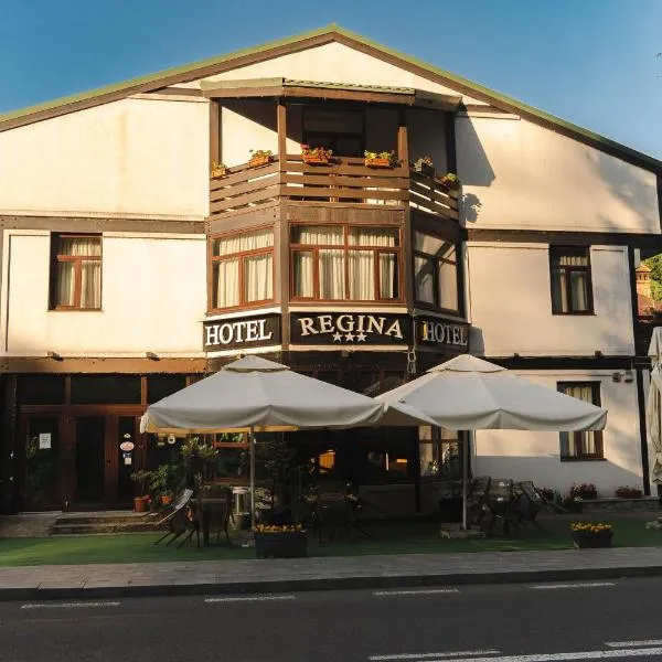 Hotel Regina, hotel u Sinaiu