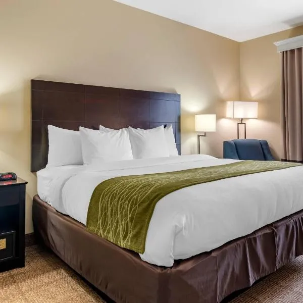 Comfort Inn & Suites Scott-West Lafayette, hotel Scottban