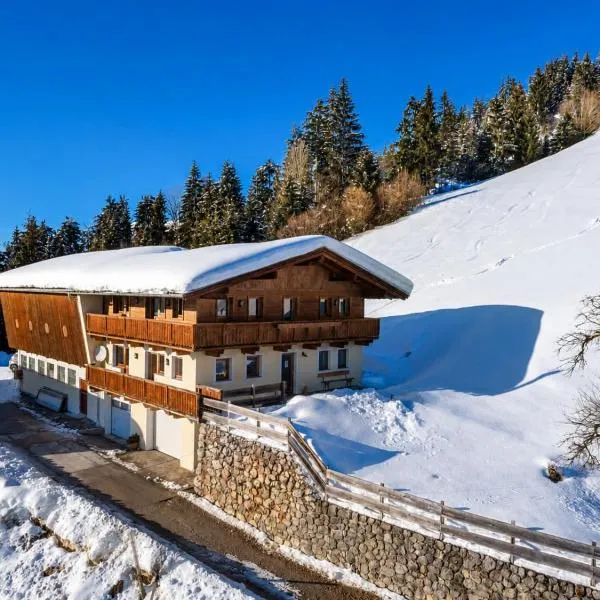 Chalet in Hopfgarten, viešbutis mieste Hopfgarten im Brixental