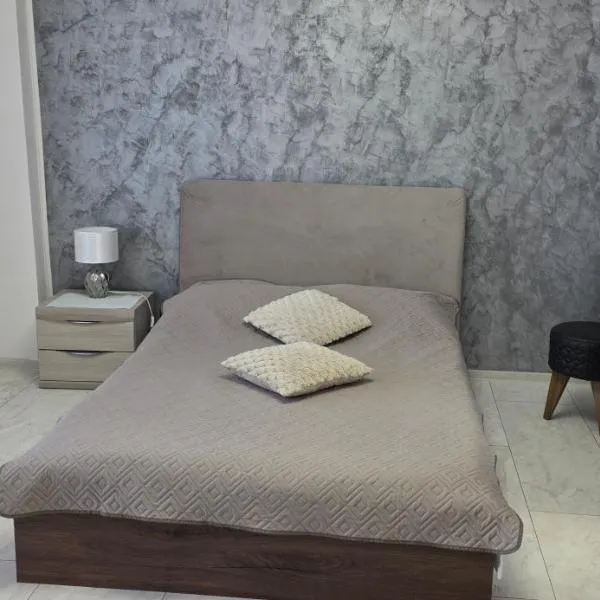 Studio Central Brancusi, hotel in Târgu Jiu
