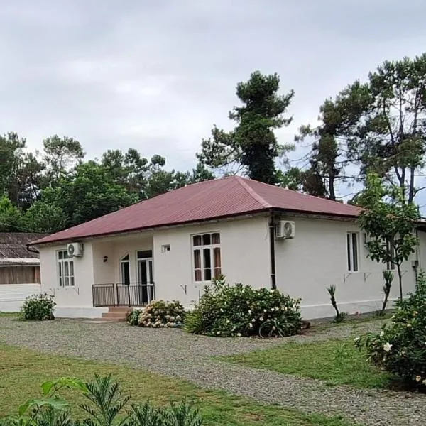 Seaside Shekvetili, hotel v destinaci Šekvetili