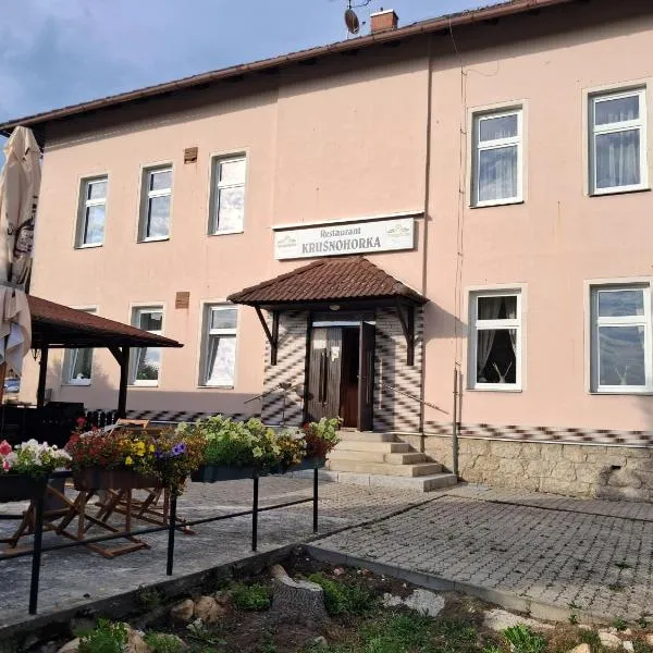 Penzion Krušnohorka, hotel in Tatrovice