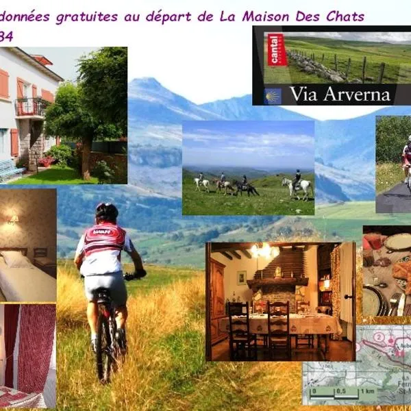 La Maison des Chats, hotel v destinaci Saint-Mary-le-Plain