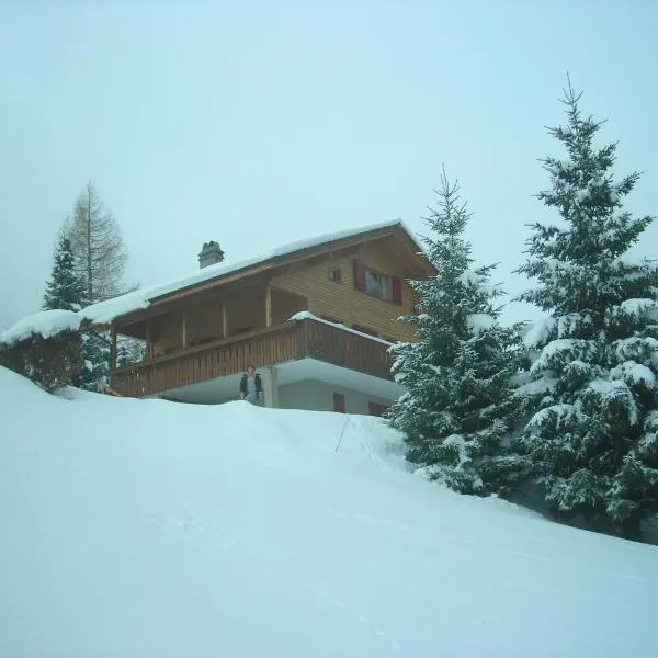 Chalet Valdonga, hotel in Flumserberg