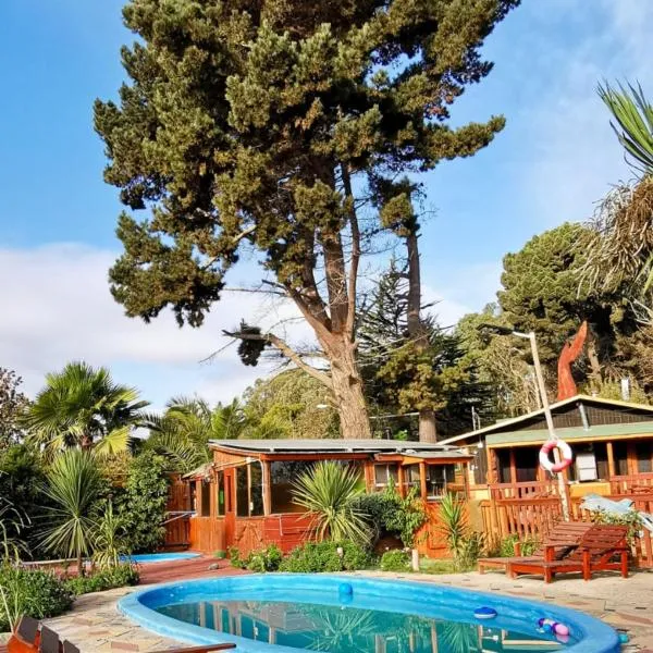 En LOS PINARES DEL MAR Suites y Cabañas PET FRIENLY, hotelli kohteessa Isla Negra