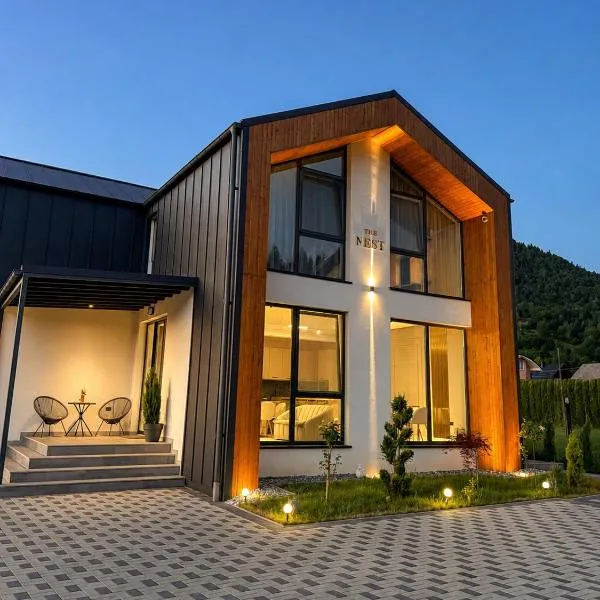 The NEST Villa, hotel en Borşa