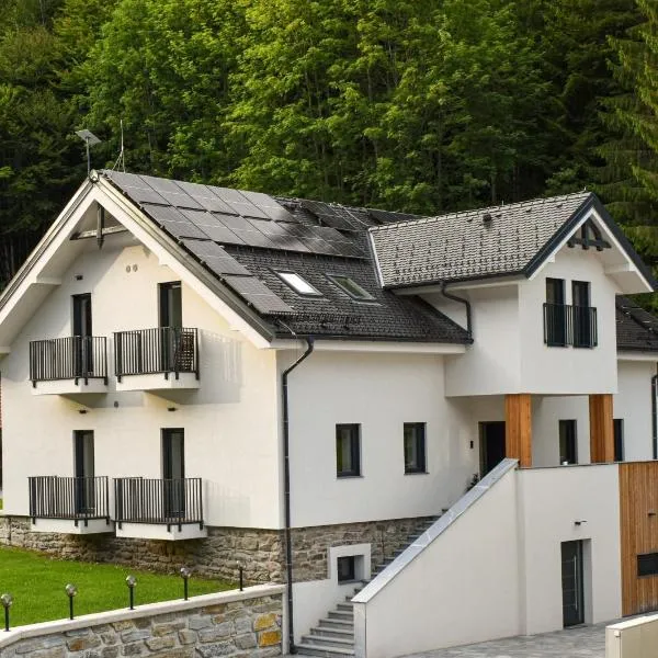 Apartmaji Vouk - sodobni apartmaji v objemu narave - Lukanja - Rogla - Primerno za pare in družine - Sprostitev in aktivno preživljanje prostega časa, hotell i Oplotnica