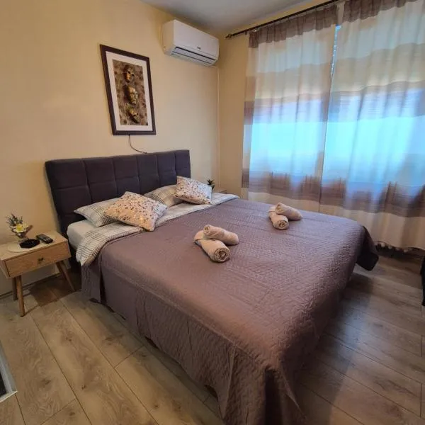 Grey Apartments Zaječar, hotel in Zaječar