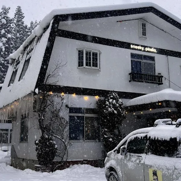 sneaky peaks, hotel in Hakuba