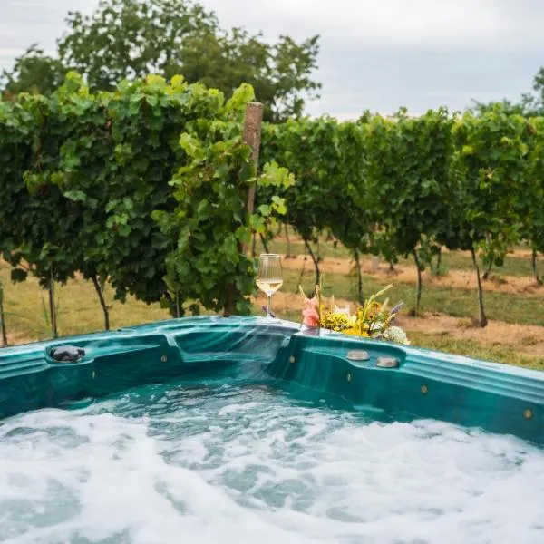 Vikendica Vinogradski Mir, Jacuzzi and Vineyard View, хотел в Bačinci