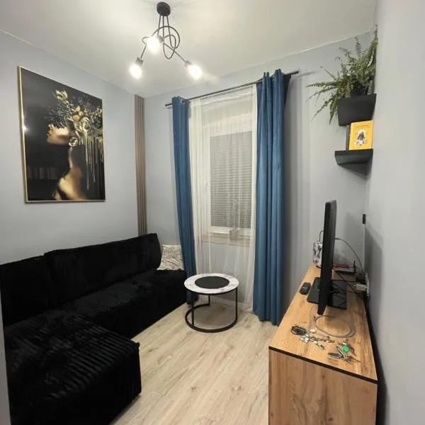 Apartament nad rzeką, hotel en Głuszyca