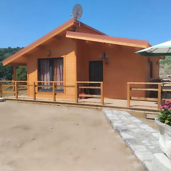 Casa dos Cortinhais 2,位于Oliveira de Frades的酒店
