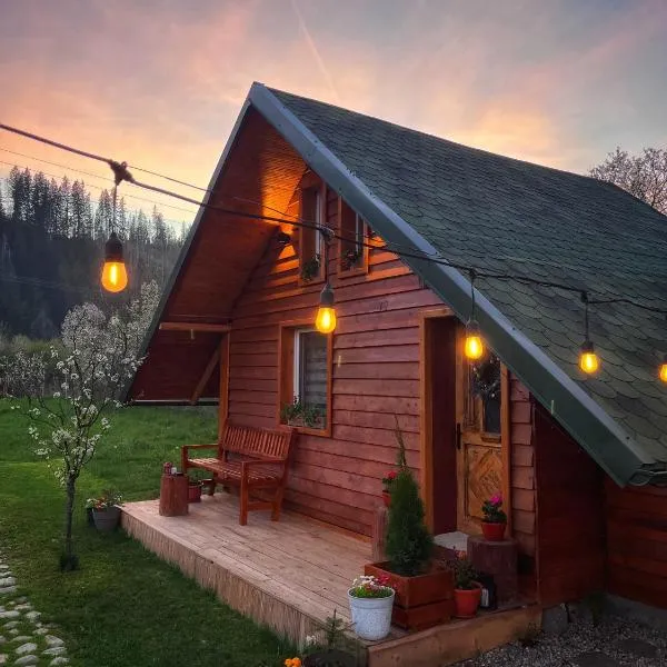 EscapeTinyCabin by IezerVenture, ξενοδοχείο σε Lereşti
