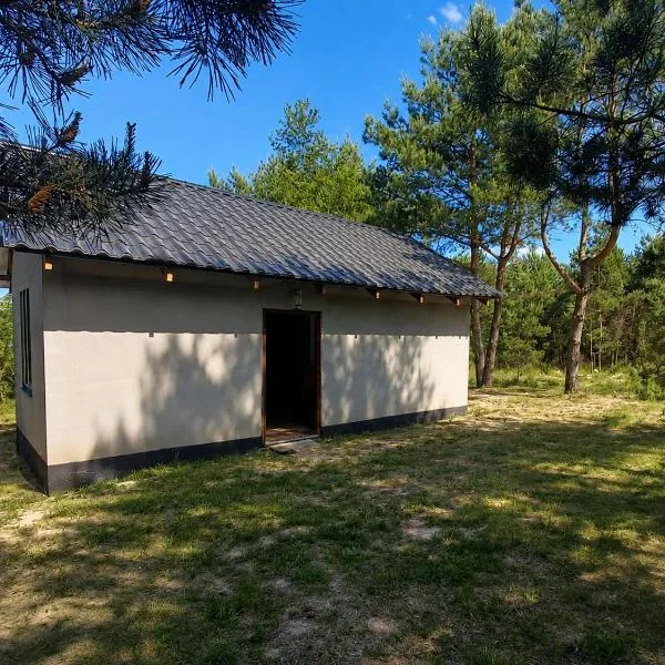 DOMEK na górce u Celiny pod lasem, hotel di Dargobądz