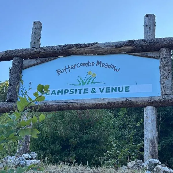 Buttercombe Meadow Campsite and Venue, Hotel in West Down