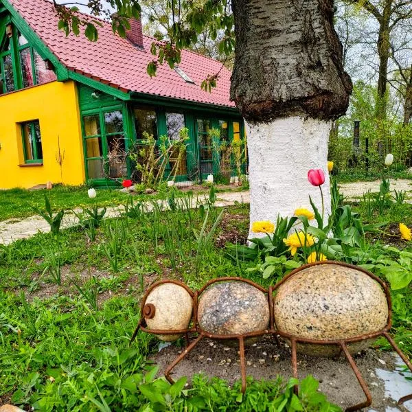 Haus 9 am Fluss, hotel a Witnica