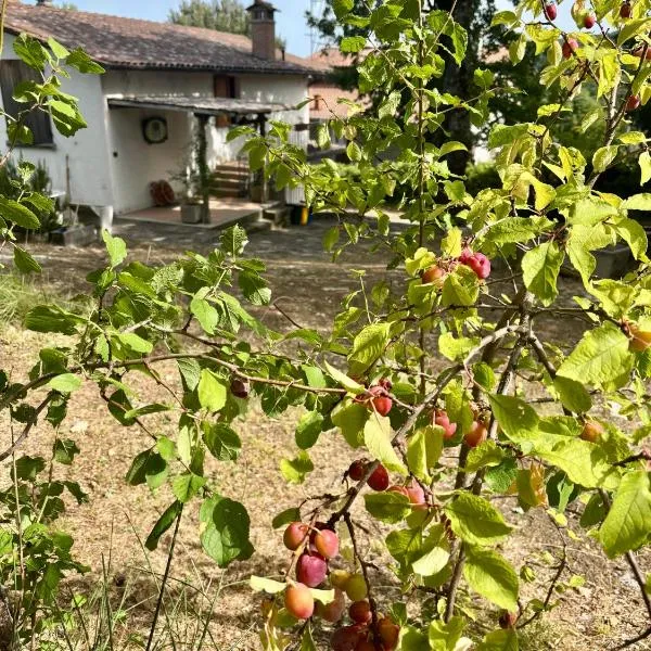Antica Fiera, hotel Caprese Michelangelóban