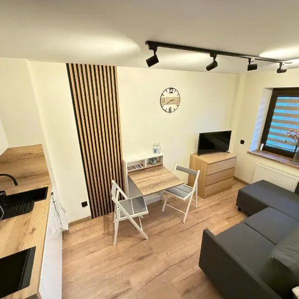 Apartamenty RoweloveBB, hotel in Bielsko-Biała