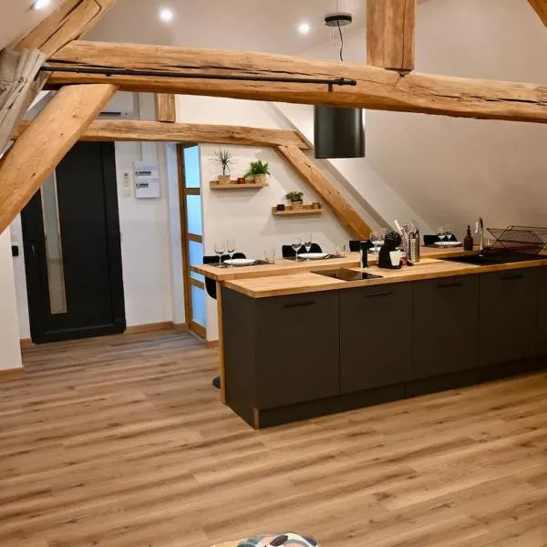 Superbe Loft à Arcis sur aube: Arcis-sur-Aube şehrinde bir otel