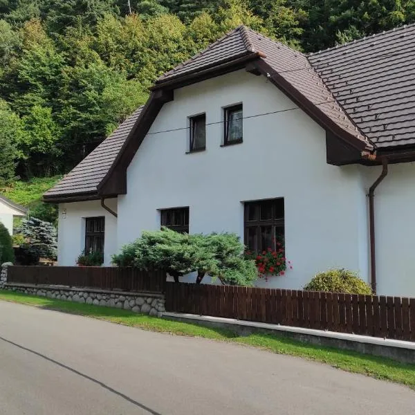 Penzion pod vejmutovym lesom, hotel in Kremnica