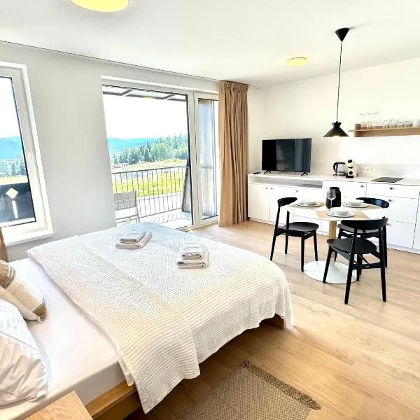 Monte Panorama Apartment - Private Outdoor Parking, hotel din Gerlachov