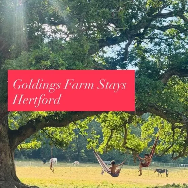 Farmstay riverside BELLTENT and activities, hotel u gradu Bramfield