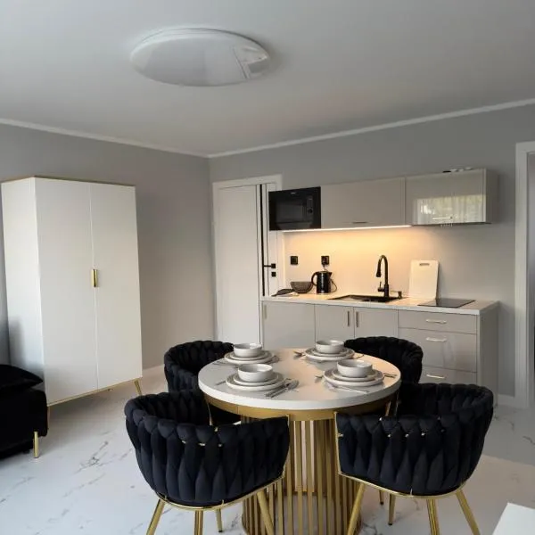 Apartamenty Zloty Orzech, hotel u gradu Vladislavovo