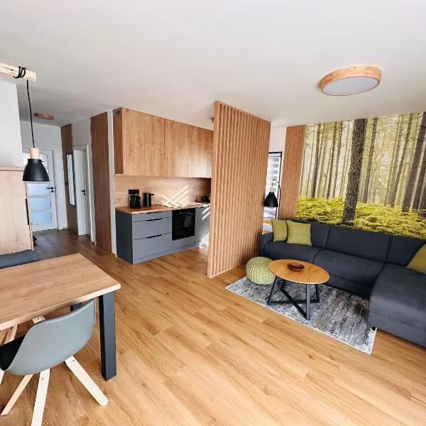 BOŽÍ APARTMÁNY - Natural, Hotel in Boží Dar