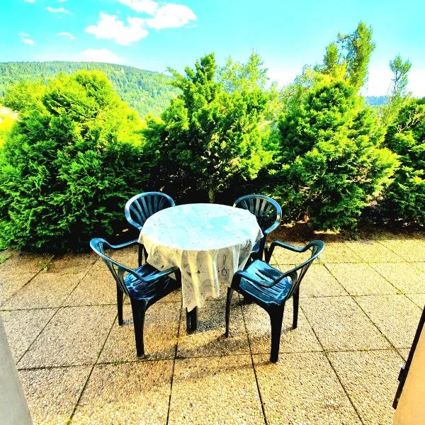 Charmant chalet - appartement avec chambre - terrasse - jardin- parking - proche toutes commodités et lac - calme - lisière de forêt、ジェラールメのホテル