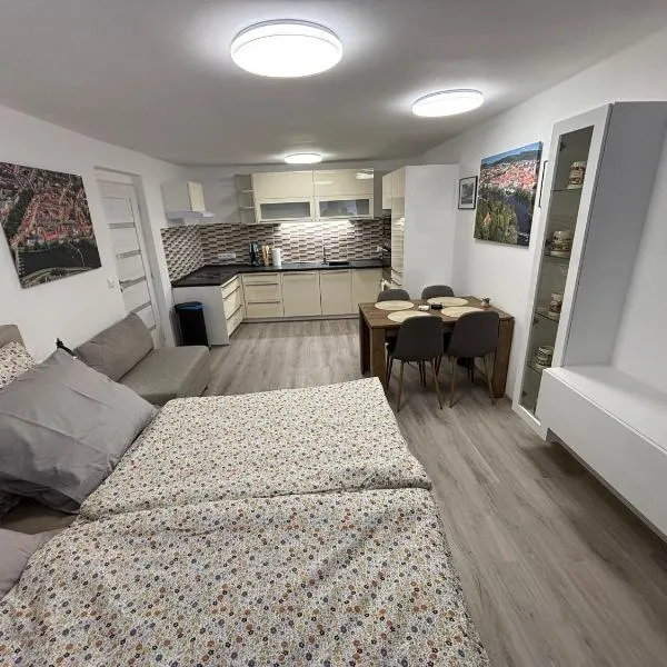 Apartmán 1, Heydukovka, hotel i Písek