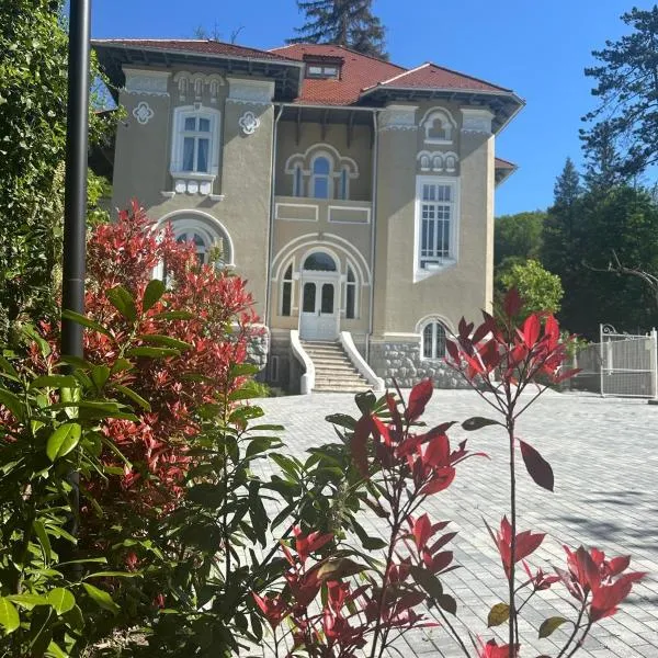 Vila Popovici, hotel sa Prăjila