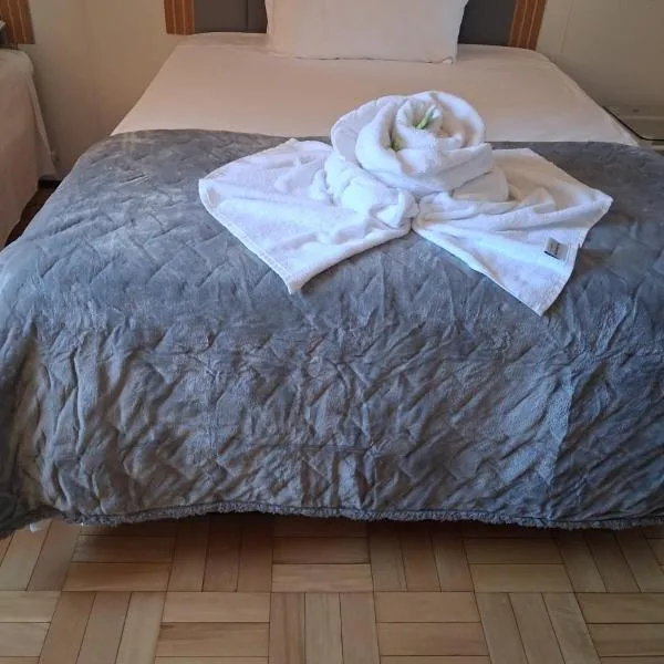 Hotel Linassi, hotel a Cruz Alta