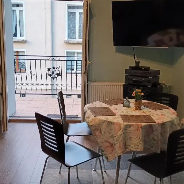 Apartament Stronie Śląskie Wita, hotel in Stronie Śląskie