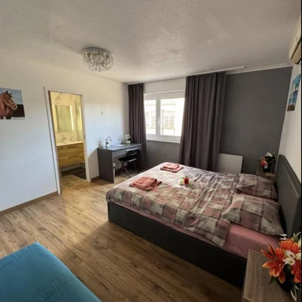 Chambre dans un appartement, hotel i Strasbourg